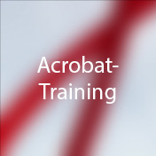Acrobat Basics & Tricks